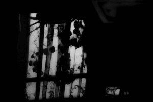 Inside house_2016_01_21_0005