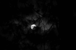 Night study_2014_10_09_0073