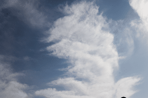 Sina Nasr - Shepherd 01- Clouds